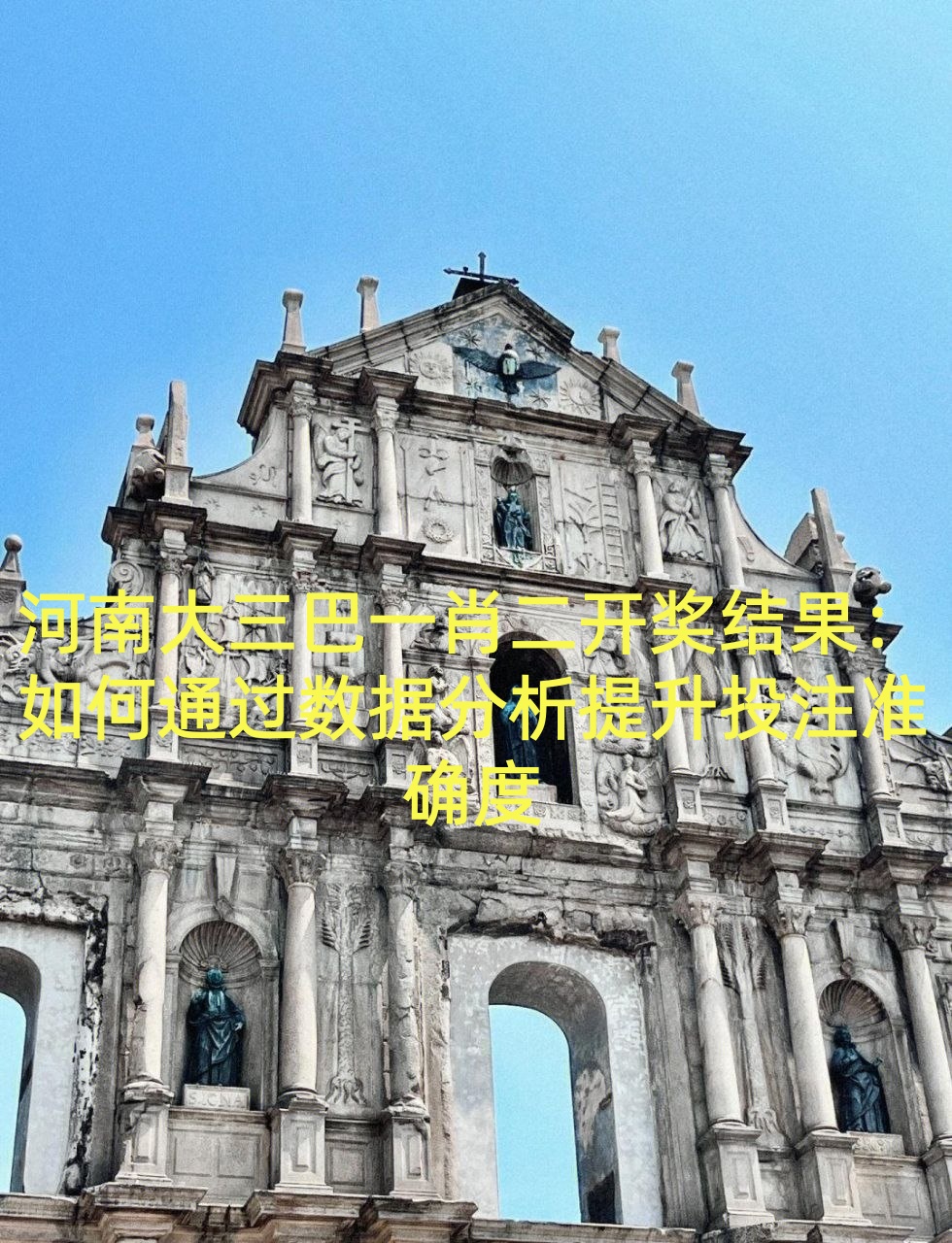 河南大三巴一肖二开奖结果：如何通过数据分析提升投注准确度